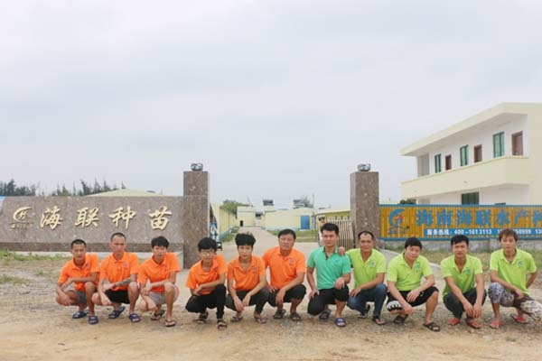 1767512394913140.jpg 8.jpg