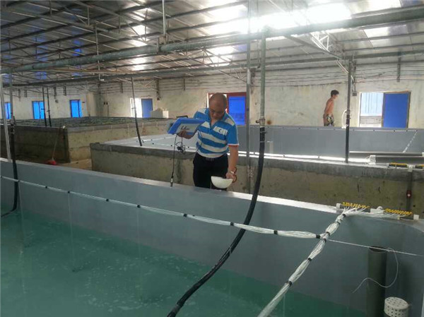 虾苗车间.jpg